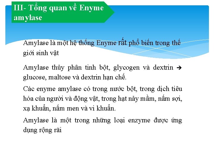 III- Tổng quan về Enyme amylase Amylase là một hệ thống Enyme rất phổ