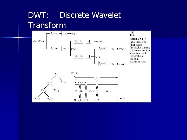 DWT: Discrete Wavelet Transform 