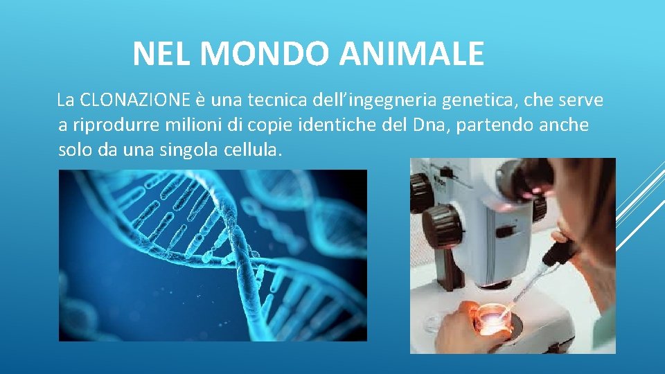 NEL MONDO ANIMALE La CLONAZIONE è una tecnica dell’ingegneria genetica, che serve a riprodurre