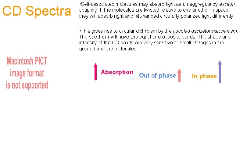 CD Spectra • Self-associated molecules may absorb light as an aggregate by exciton coupling.