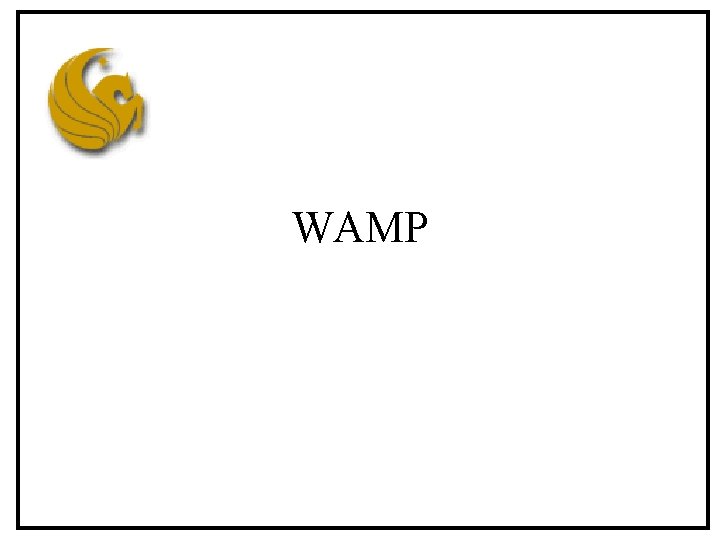 WAMP 