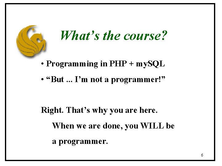 What’s the course? • Programming in PHP + my. SQL • “But. . .