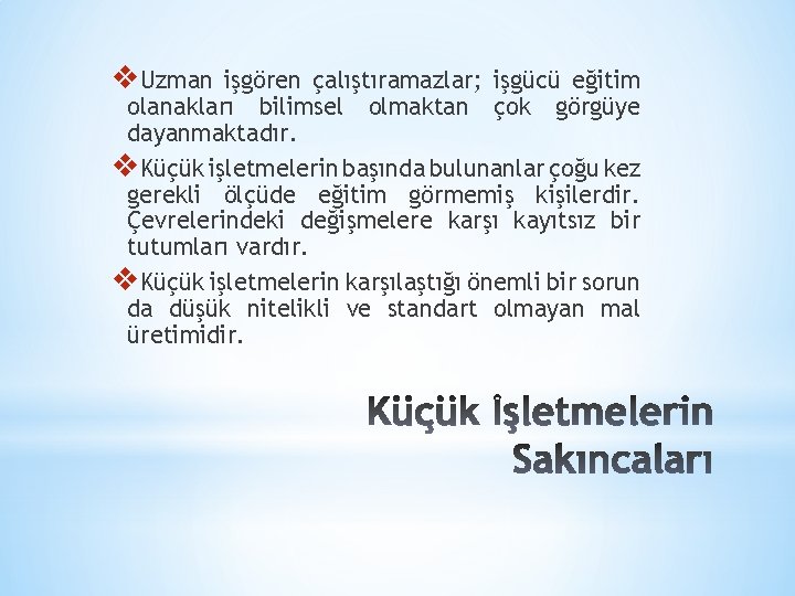 v. Uzman işgören çalıştıramazlar; işgücü eğitim olanakları bilimsel olmaktan çok görgüye dayanmaktadır. v. Küçük