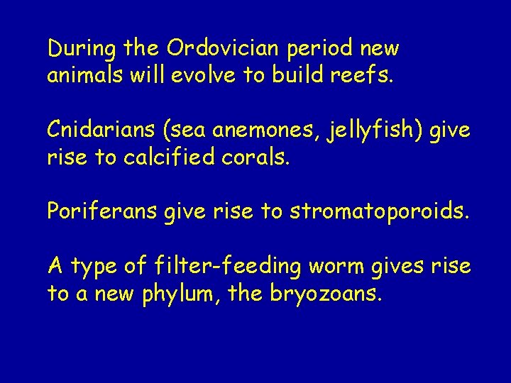 During the Ordovician period new animals will evolve to build reefs. Cnidarians (sea anemones, During the Ordovician period new animals will evolve to build reefs. Cnidarians (sea anemones,
