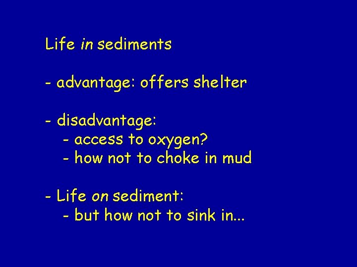 Life in sediments - advantage: offers shelter - disadvantage: - access to oxygen? - Life in sediments - advantage: offers shelter - disadvantage: - access to oxygen? -
