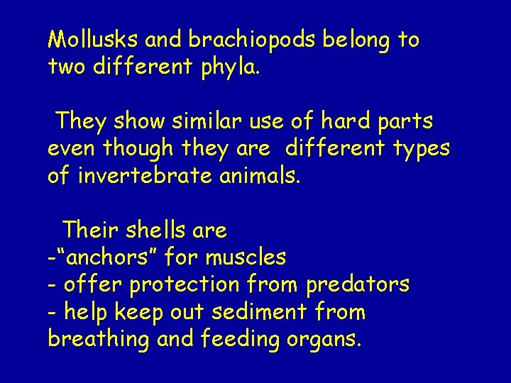 Mollusks and brachiopods belong to two different phyla. They show similar use of hard Mollusks and brachiopods belong to two different phyla. They show similar use of hard
