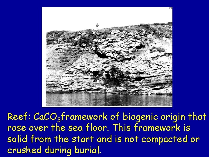 Reef: Ca. CO 3 framework of biogenic origin that rose over the sea floor. Reef: Ca. CO 3 framework of biogenic origin that rose over the sea floor.
