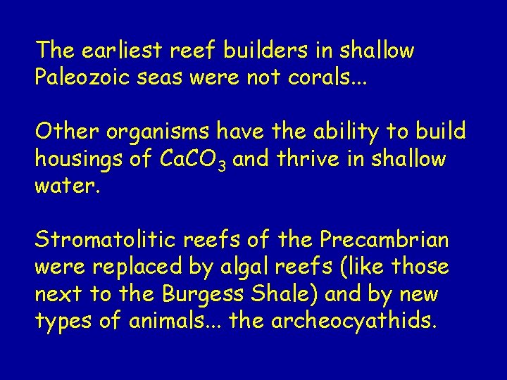 The earliest reef builders in shallow Paleozoic seas were not corals. . . Other The earliest reef builders in shallow Paleozoic seas were not corals. . . Other