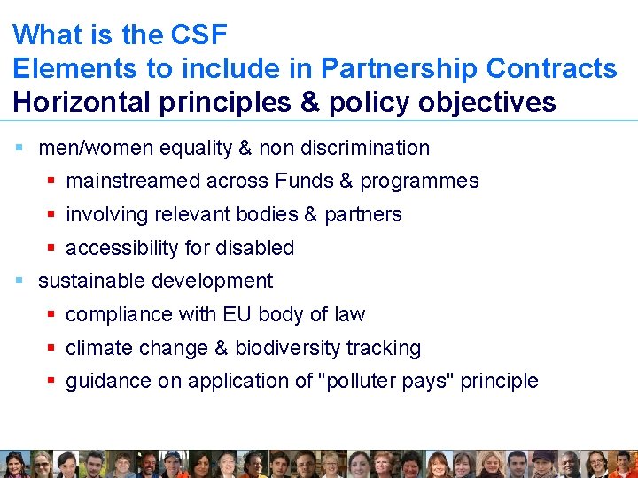 What is the CSF Elements to include in Partnership Contracts Horizontal principles & policy