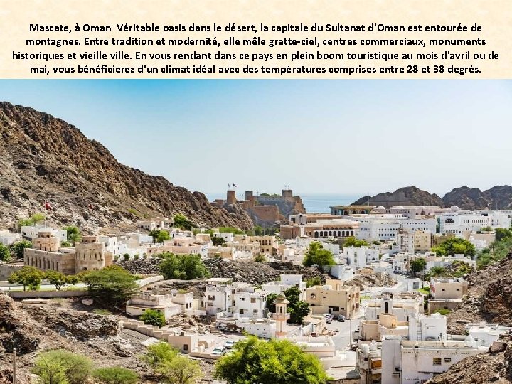 Mascate, à Oman Véritable oasis dans le désert, la capitale du Sultanat d'Oman est