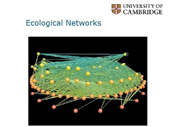 Ecological Networks 