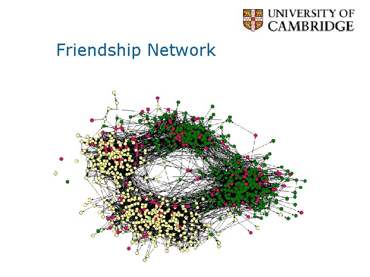 Friendship Network 