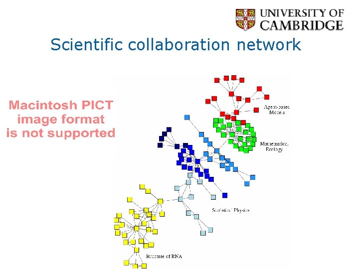 Scientific collaboration network 