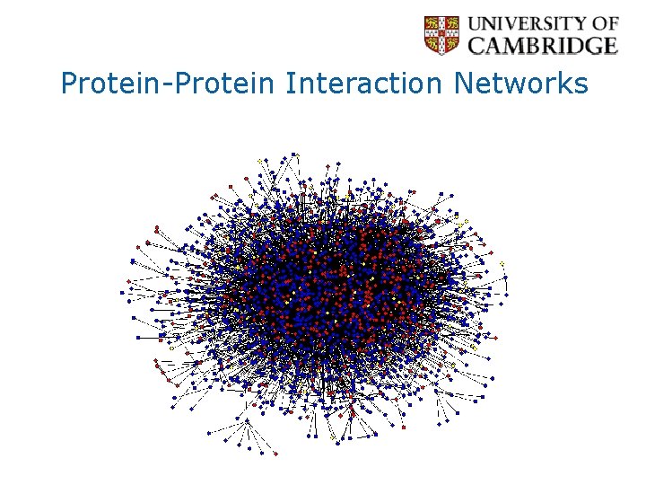 Protein-Protein Interaction Networks 