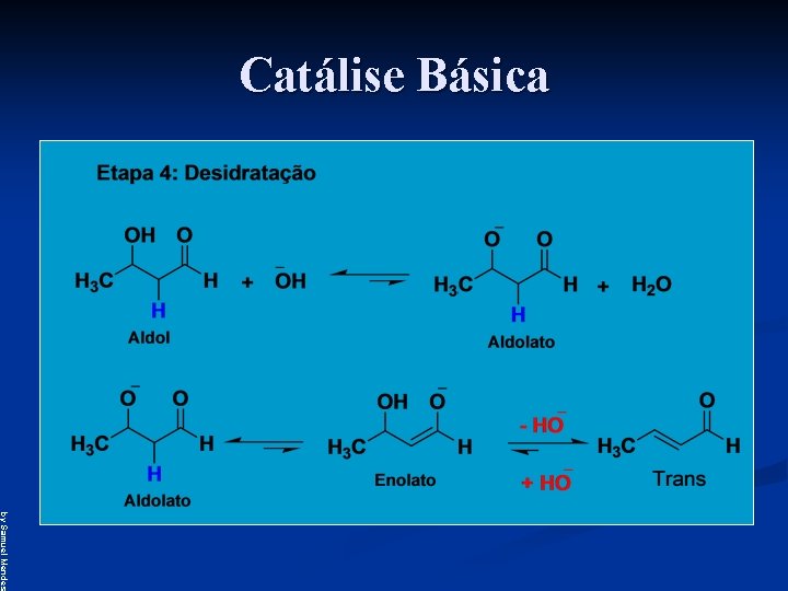 Catálise Básica by Samuel Mendes 