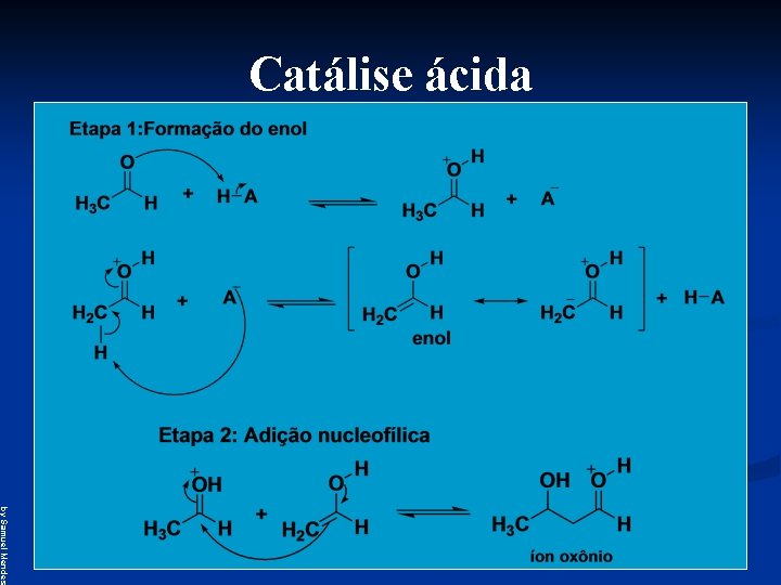 Catálise ácida by Samuel Mendes 