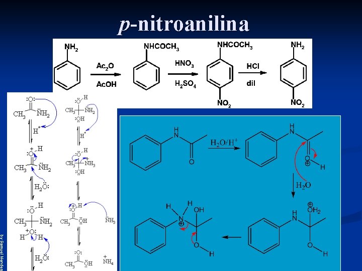 p-nitroanilina by Samuel Mendes 