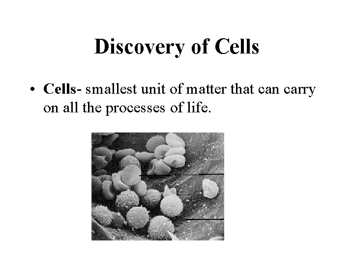 Discovery of Cells • Cells- smallest unit of matter that can carry on all
