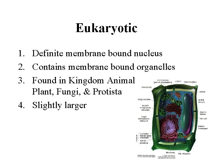 Eukaryotic 1. Definite membrane bound nucleus 2. Contains membrane bound organelles 3. Found in