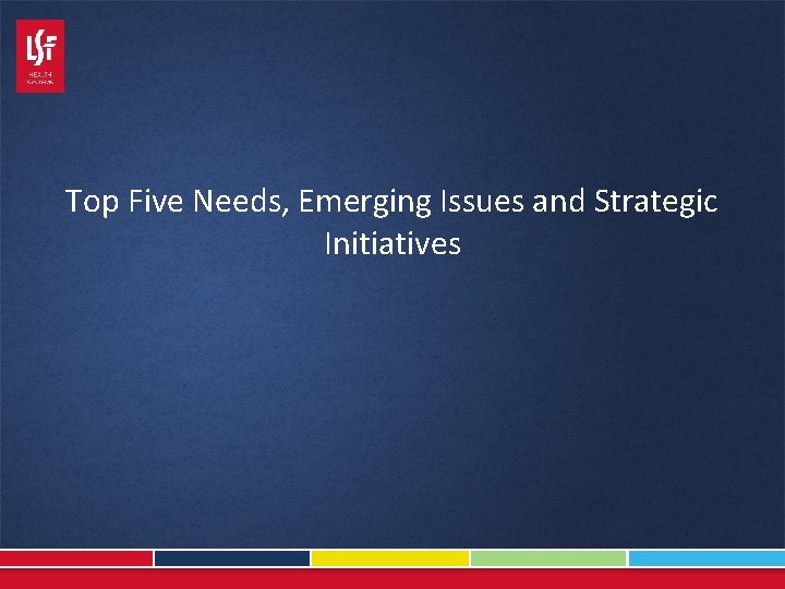 Top Five Needs, Emerging Issues and Strategic Initiatives 