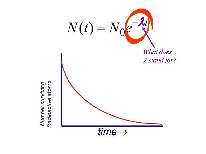 Number surviving Radioactive atoms What does stand for? 