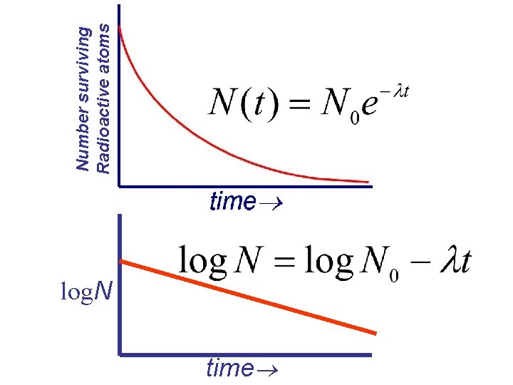 log. N time Number surviving Radioactive atoms 