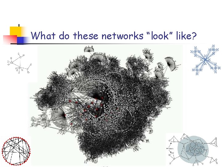 What do these networks “look” like? 