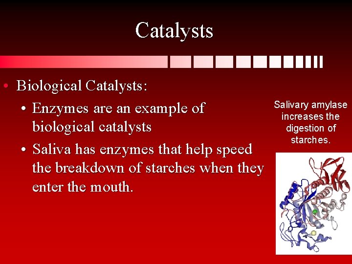 Catalysts • Biological Catalysts: • Enzymes are an example of biological catalysts • Saliva