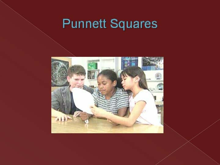 Punnett Squares Punnett Squares