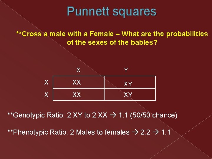 Punnett squares **Cross a male with a Female – What are the probabilities of Punnett squares **Cross a male with a Female – What are the probabilities of