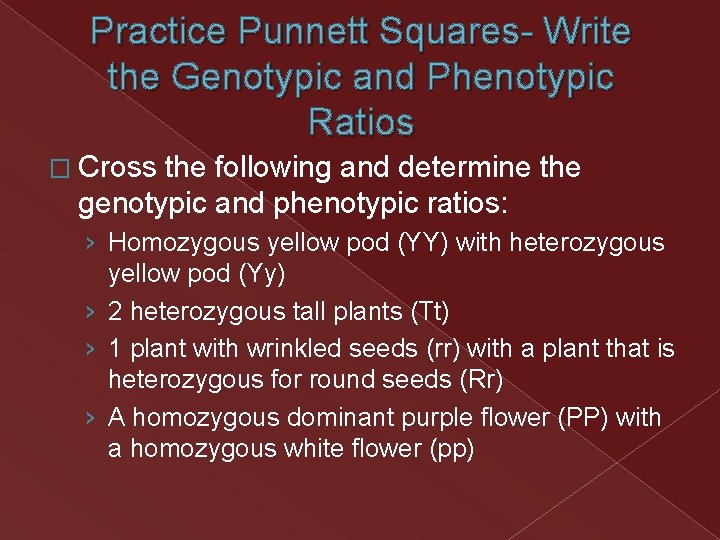 Practice Punnett Squares- Write the Genotypic and Phenotypic Ratios � Cross the following and Practice Punnett Squares- Write the Genotypic and Phenotypic Ratios � Cross the following and
