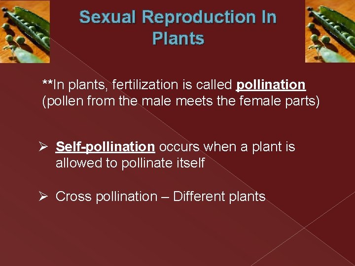 Sexual Reproduction In Plants **In plants, fertilization is called pollination (pollen from the male Sexual Reproduction In Plants **In plants, fertilization is called pollination (pollen from the male