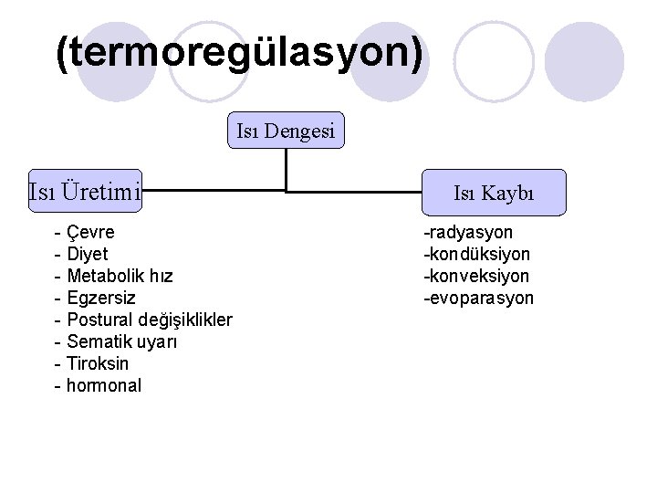 (termoregülasyon) Isı Dengesi Isı Üretimi - Çevre - Diyet - Metabolik hız - Egzersiz