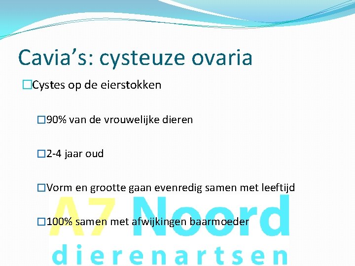 Cavia’s: cysteuze ovaria �Cystes op de eierstokken � 90% van de vrouwelijke dieren �