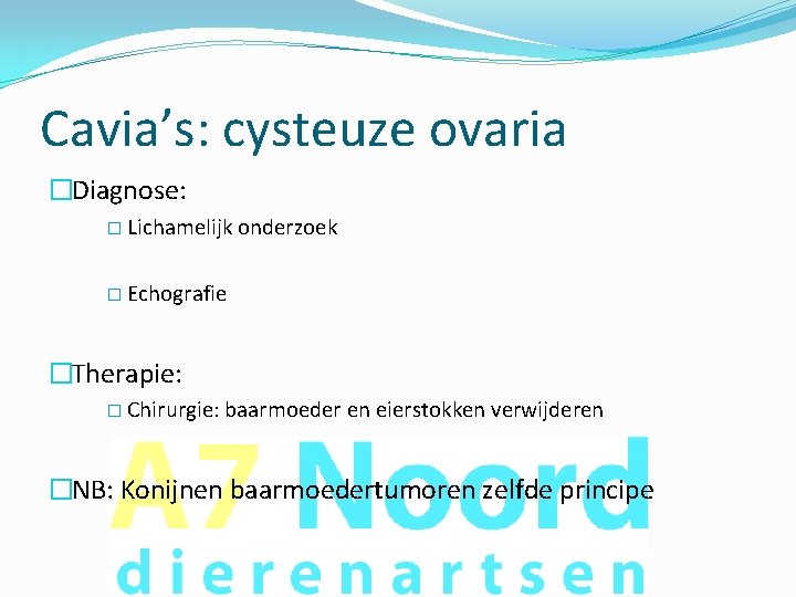 Cavia’s: cysteuze ovaria �Diagnose: � Lichamelijk onderzoek � Echografie �Therapie: � Chirurgie: baarmoeder en