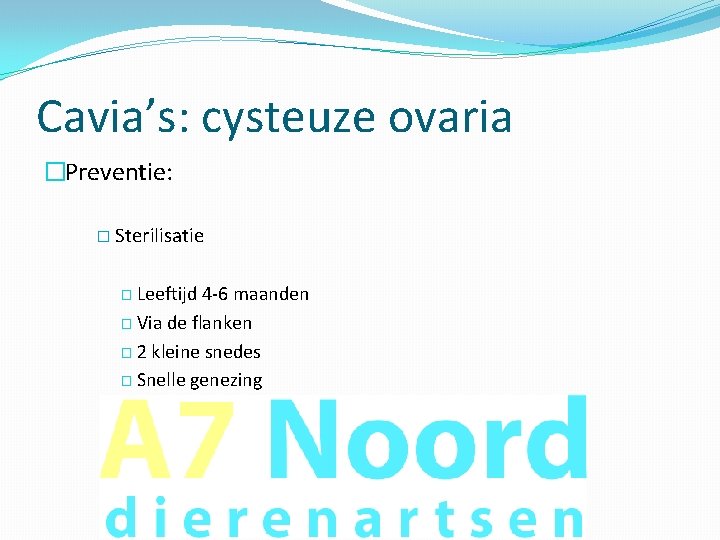 Cavia’s: cysteuze ovaria �Preventie: � Sterilisatie � Leeftijd 4 -6 maanden � Via de