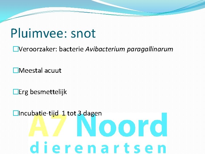 Pluimvee: snot �Veroorzaker: bacterie Avibacterium paragallinarum �Meestal acuut �Erg besmettelijk �Incubatie-tijd 1 tot 3