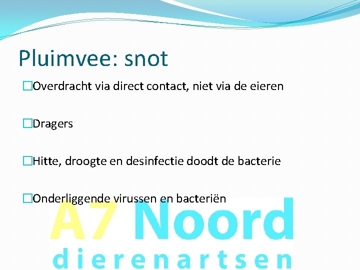 Pluimvee: snot �Overdracht via direct contact, niet via de eieren �Dragers �Hitte, droogte en