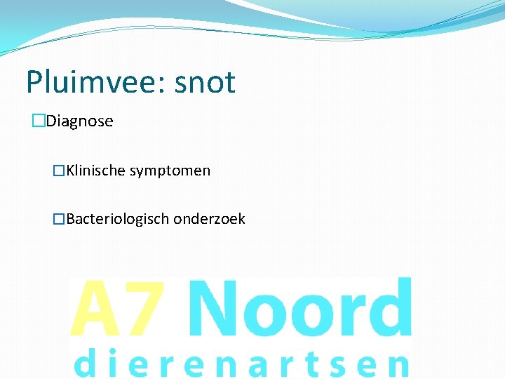 Pluimvee: snot �Diagnose �Klinische symptomen �Bacteriologisch onderzoek 