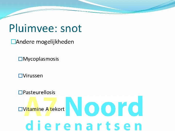 Pluimvee: snot �Andere mogelijkheden �Mycoplasmosis �Virussen �Pasteurellosis �Vitamine A tekort 