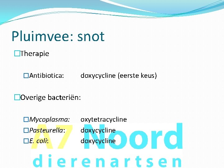 Pluimvee: snot �Therapie �Antibiotica: doxycycline (eerste keus) �Overige bacteriën: �Mycoplasma: �Pasteurella: �E. coli: oxytetracycline