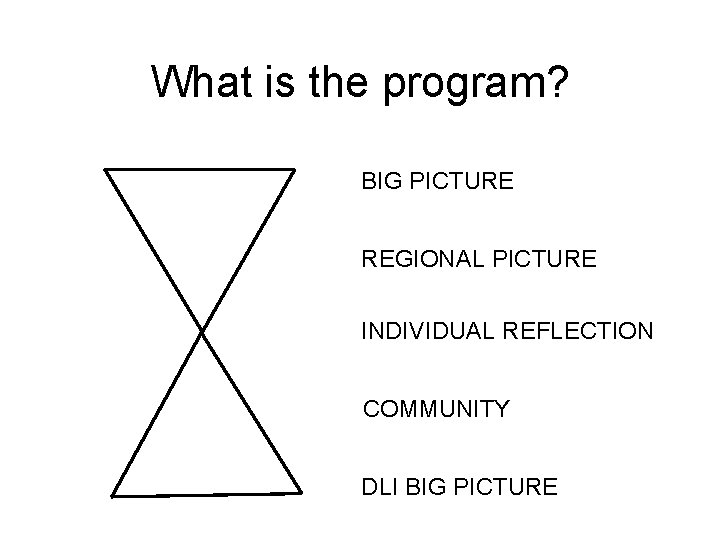What is the program? BIG PICTURE REGIONAL PICTURE INDIVIDUAL REFLECTION COMMUNITY DLI BIG PICTURE