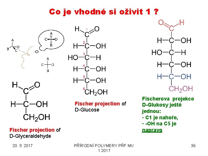 Co je vhodné si oživit 1 ? Fischer projection of D-Glucose Fischer projection of