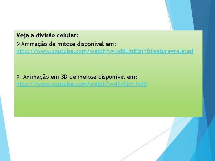 Veja a divisão celular: ØAnimação de mitose disponível em: http: //www. youtube. com/watch? v=Ixd