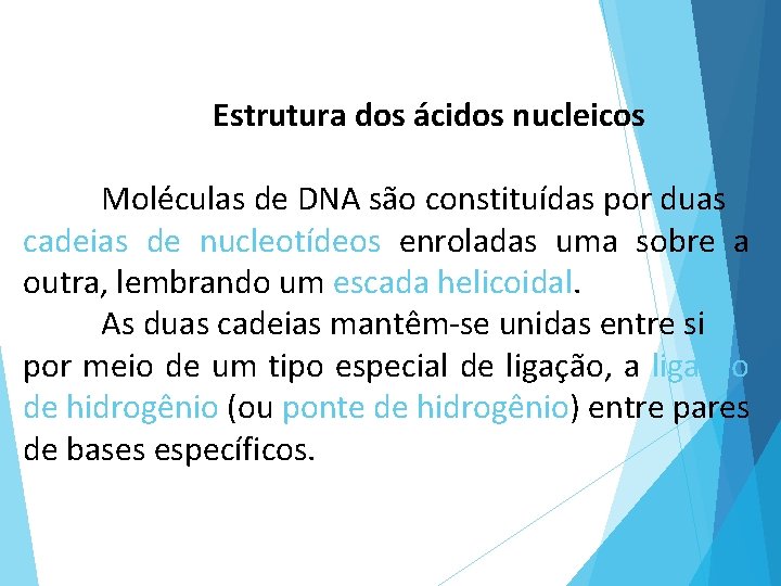 Estrutura dos ácidos nucleicos Moléculas de DNA são constituídas por duas cadeias de nucleotídeos