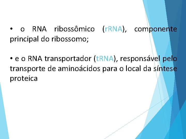  • o RNA ribossômico (r. RNA), componente principal do ribossomo; • e o