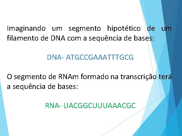 Imaginando um segmento hipotético de um filamento de DNA com a sequência de bases: