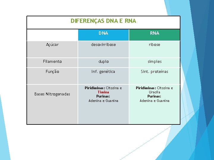 DIFERENÇAS DNA E RNA DNA RNA Açúcar desoxirribose Filamento duplo simples Função Inf. genética