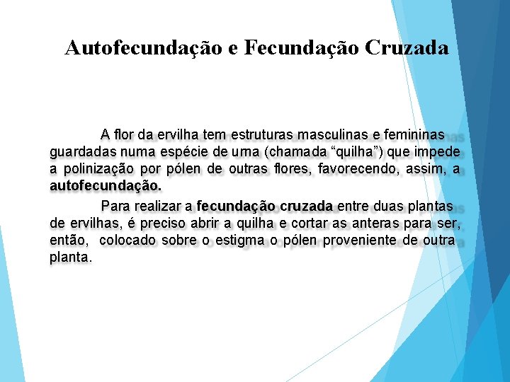 Autofecundação e Fecundação Cruzada A flor da ervilha tem estruturas masculinas e femininas guardadas