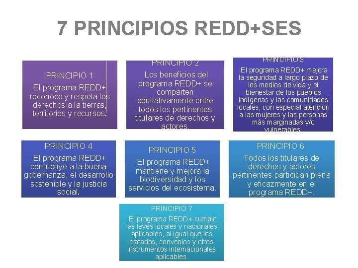 7 PRINCIPIOS REDD+SES PRINCIPIO 2 PRINCIPIO 1 El programa REDD+ reconoce y respeta los